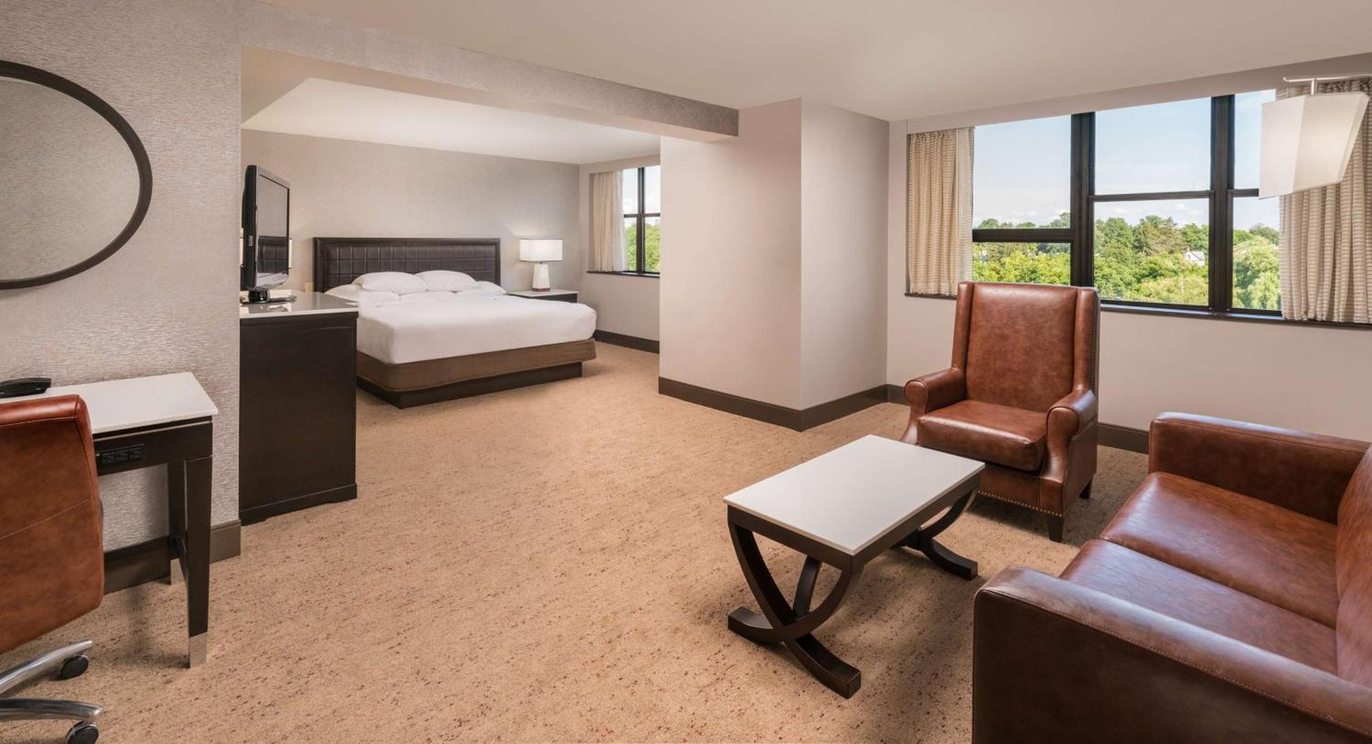 Junior King Suite,1552168459:JPEG